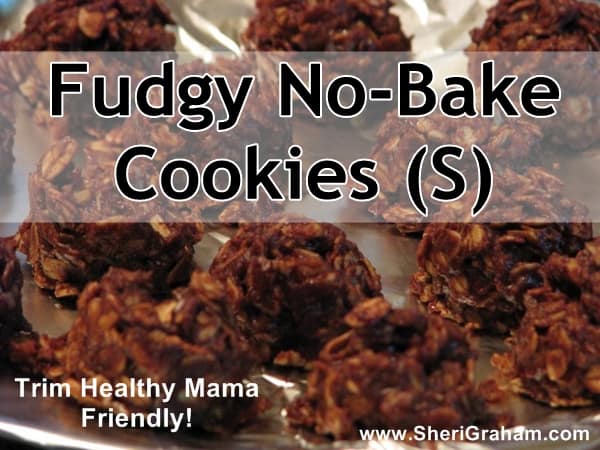 Fudgy No-Bake Cookies (S) - A Trim Healthy Mama Treat!