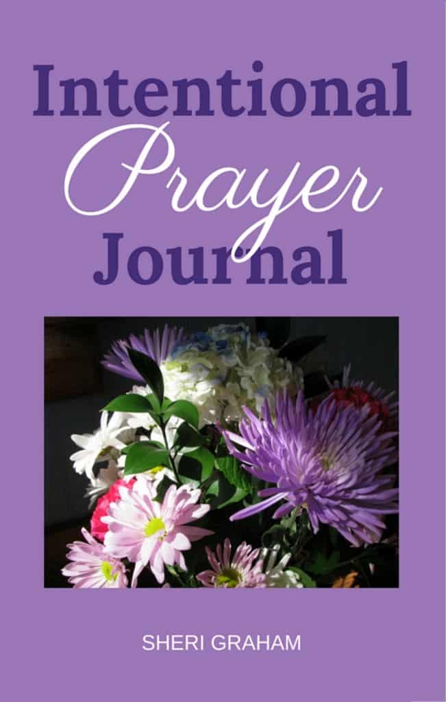 Intentional Prayer Journal-cover2