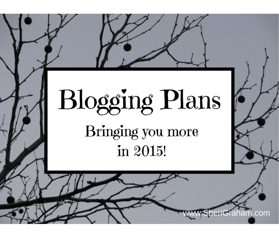 Blogging Plans: Bringing You More in 2015!