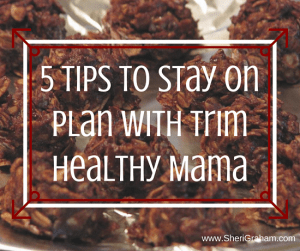 5 Tips to Stay on Plan with Trim Healthy Mama