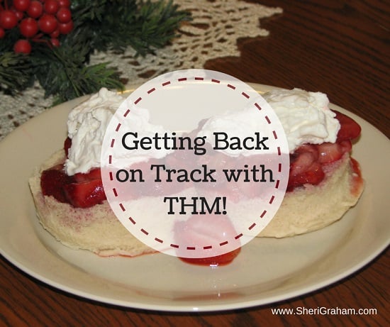 Getting Back on Track with Trim Healthy Mama!