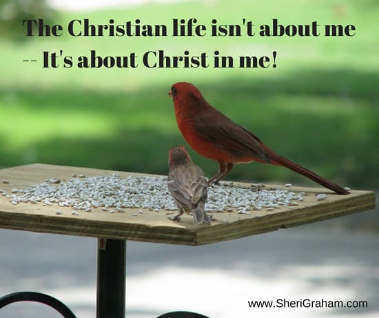 The Christian life isn't about me -- It's about Christ in me!