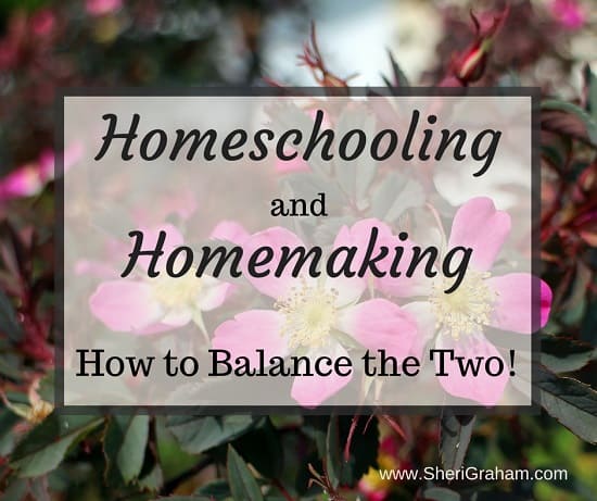Homeschool Myth: You Can’t Balance Homeschooling and Homemaking
