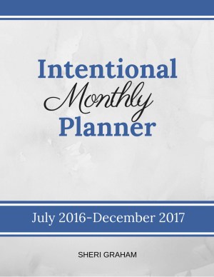 Intentional Monthly Planner- July 2016-December 2017