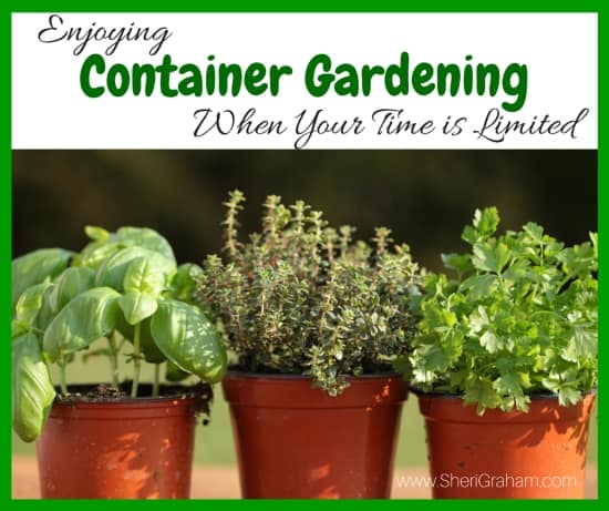 Enjoying Container Gardening When Your Time Is Limited