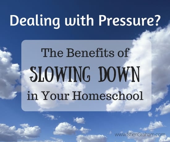 Dealing with Pressure? The Benefits of Slowing Down (in your homeschool)
