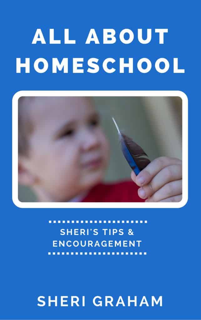 All About Homeschool