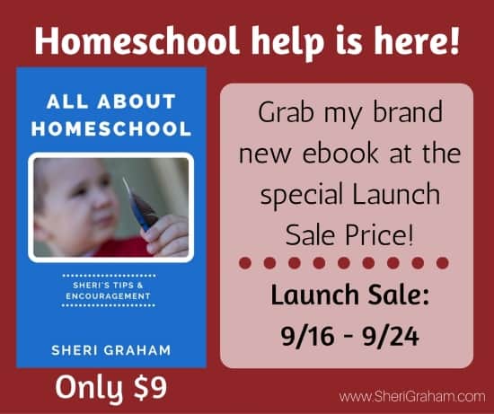 All About Homeschool: It’s Here + Special Launch Sale!