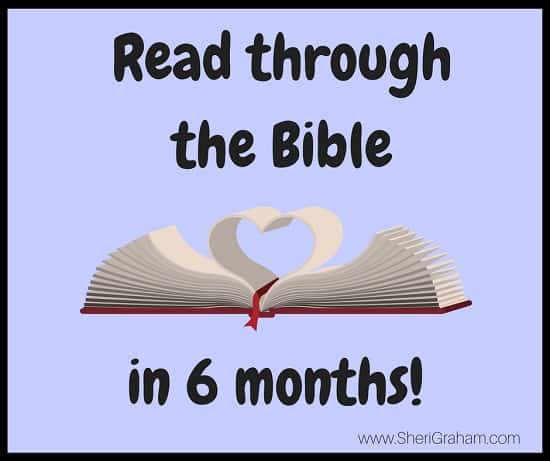 Read through the Bible in six months (right here on my site)!