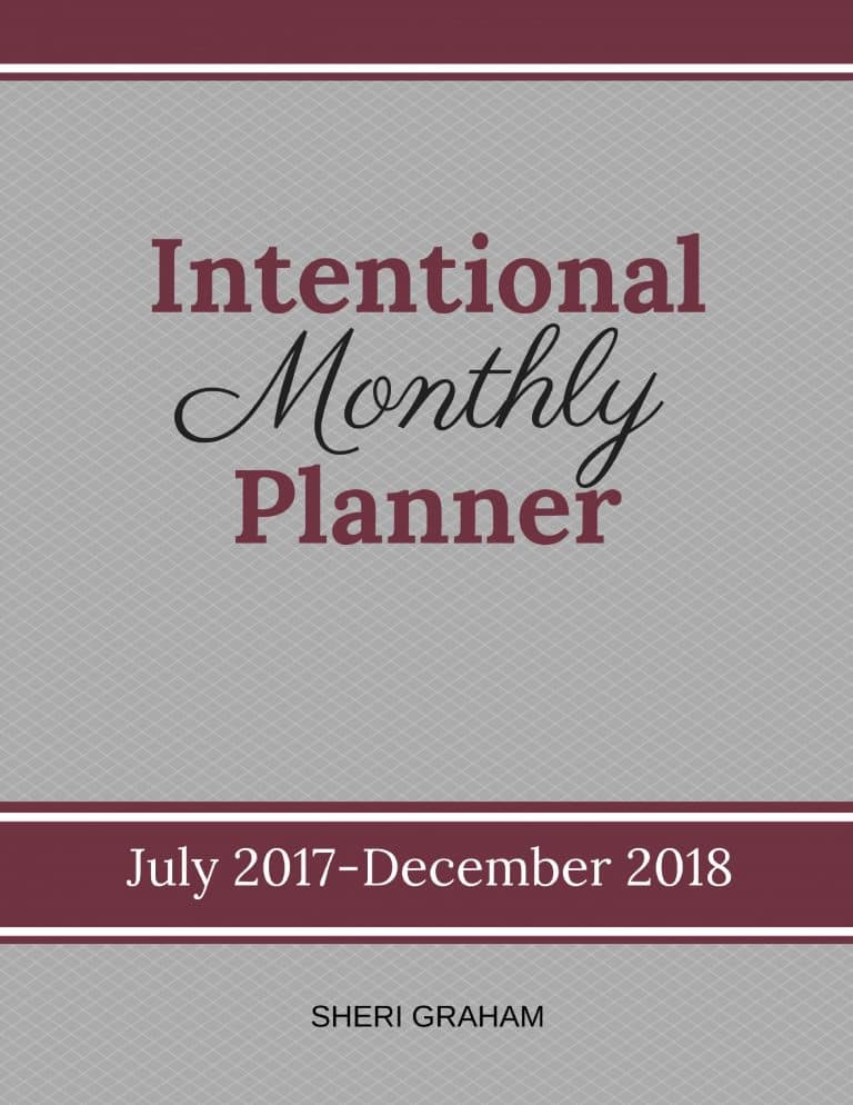 Intentional Monthly Planner- July 2017-December 2018