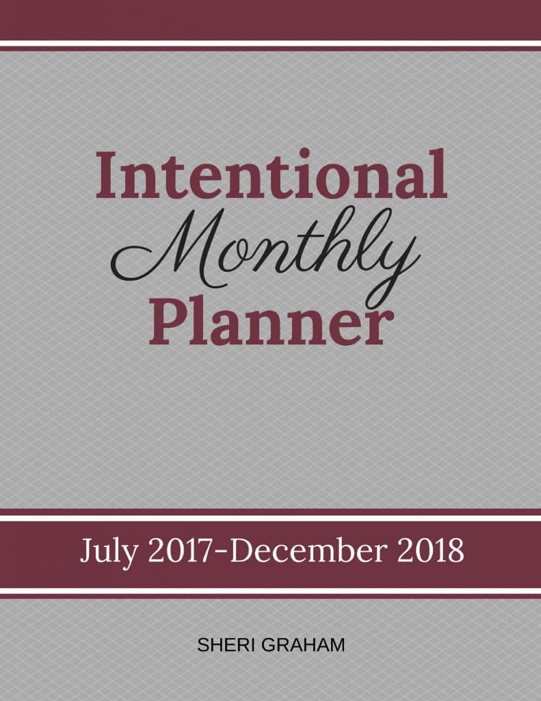 Intentional Monthly Planner- July 2017-December 2018