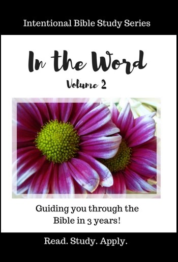 In the Word – Volume 2 Ebook Now Available!