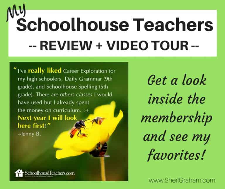 My Schoolhouse Teachers Review + Video Tour!