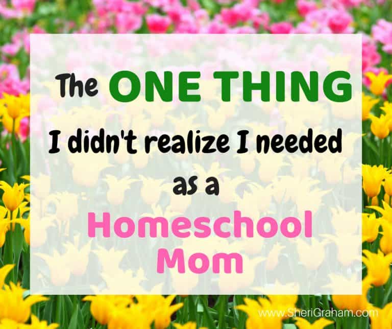 The One Thing I Didn’t Realize I Needed as a Homeschool Mom