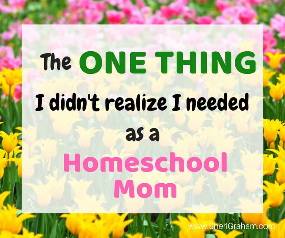 The One Thing I Did Not Realize I Needed as a Homeschool Mom