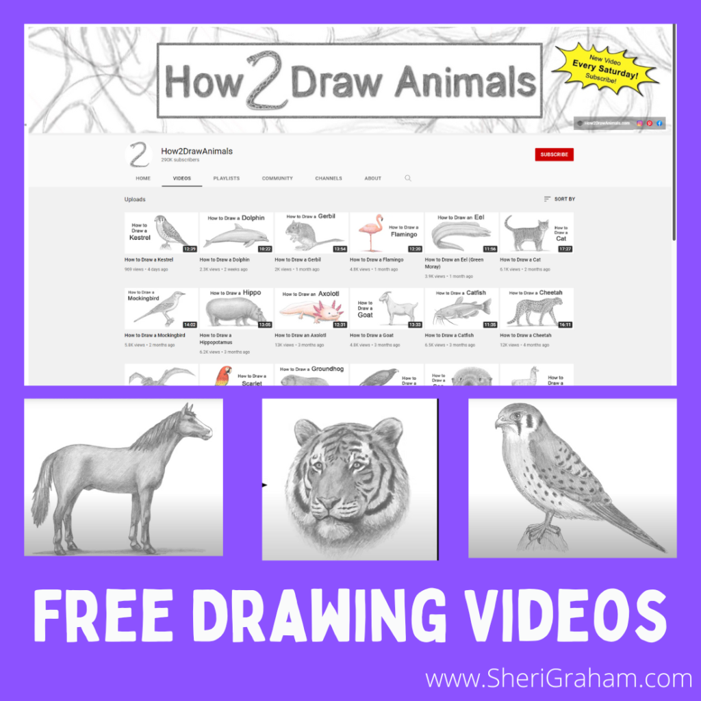 Free Drawing Videos (How to Draw Animals)