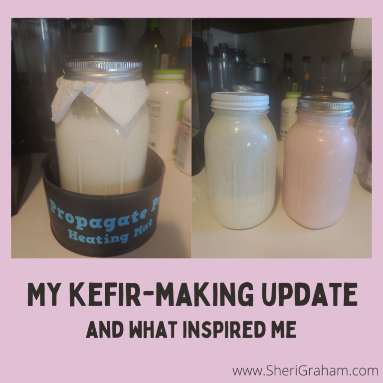 My Kefir-Making Update & What Inspired Me